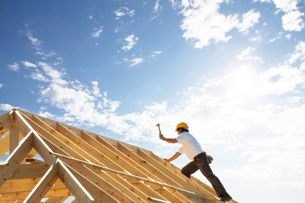 Best Skylight Installation and Repair  in Campton Hls, IL